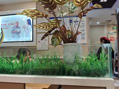 -嘉和一品粥(魏公村店)
