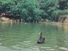 -无锡动物园·太湖欢乐园