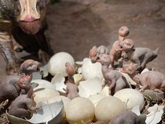 -自贡恐龙博物馆