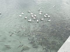 -青海湖二郎剑景区