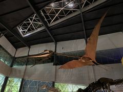 -湖南省地质博物馆