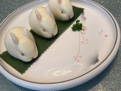 榴莲小玉兔-星豪海皇村