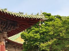 -报恩寺(平武县)