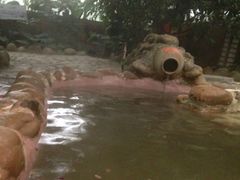 -河南威佳金凯汽车销售服务有限公司