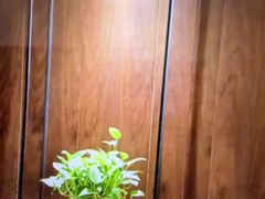 -三谷里·生态水疗空间(五一店)