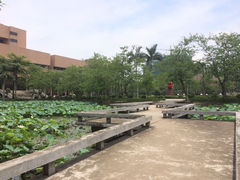 iphone_upload_pic-五邑大学