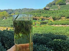 -阿巧茶庄