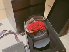 -ROSEONLY诺誓(国际广场购物中心店)