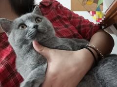 -联合动物医院(光谷诊疗中心)