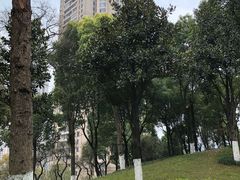 -重庆市江北嘴中央商务区中央公园