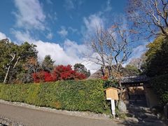 -常寂光寺