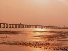 -宝安西湾红树林湿地公园