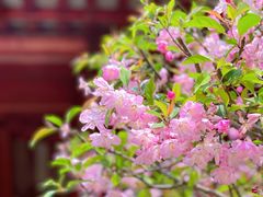 -杭州上天竺法喜讲寺