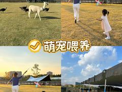 -栖露营camping·天幕烧烤·团建拓展·采摘营地