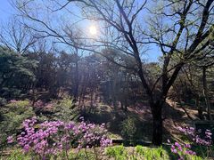 -红螺寺