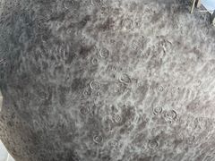 -浙江省科技馆