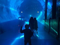 -郑州方特梦幻王国