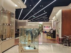 -知音艺术教育培训·钢琴培训·音乐培训(河西金鹰世界校区)