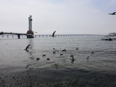 -星海湾跨海大桥