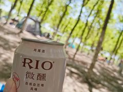-西青郊野公园