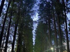 -一围小火锅(高铁吾悦店)