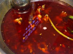 -蛙一刀·麻椒鱼火锅(金仙桥店)