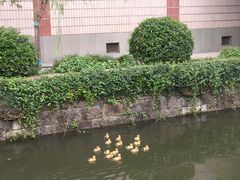 -杭州黄龙洞