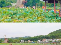 -红山村