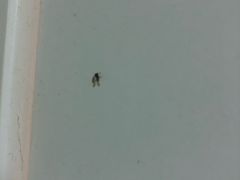 -老味道民宿(栈桥店)