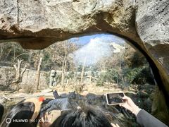 -红山森林动物园