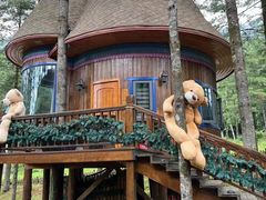 -洛阳白云山景区