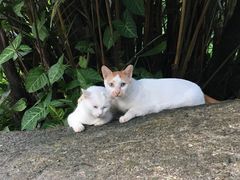 -广州珠江公园