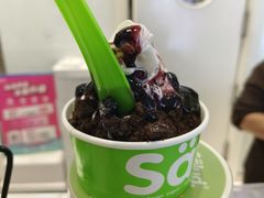 -Salud撒露欧洲冻酸奶(蓝色港湾店)