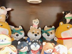 -逗柴咖啡屋·狗咖猫咖宠物桌游