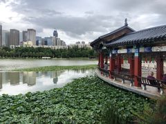 -洛龙公园