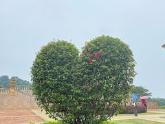 -东莞植物园