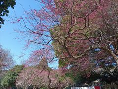 -岳王庙