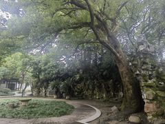 -绍兴鲁迅故里·沈园景区