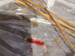 -买又大餐厅(福林里店)