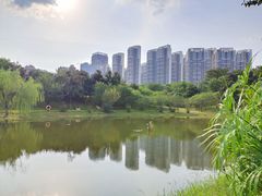 -堤角公园