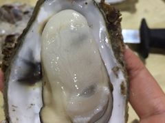 -蠔园山庄(礼乐食街店)