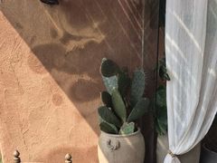 -六阅·福十 FORTEN 海景咖啡西餐厅(双廊古镇店)