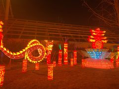 -南宫五洲植物乐园