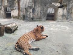 -南昌动物园