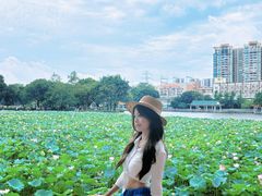 -荔湾湖公园