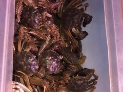 -领鲜活海鲜榴莲自助火锅(东门店)