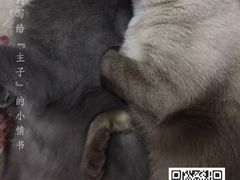 -天幕新彩云国际影城(激光巨幕店)