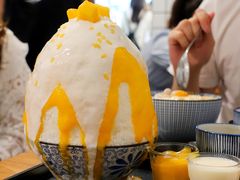 季节限定芒果牛乳冰-WONDER ICE 萬得冰田(建設路总店)