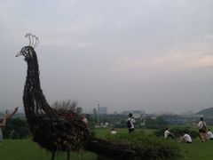 -光明小镇欢乐田园