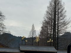 -九华山风景区